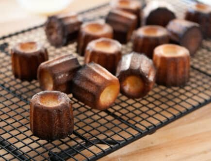 cannelés récolte saison